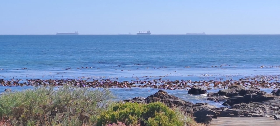 0 Bedroom Property for Sale in Sandy Point Western Cape